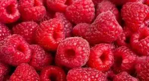 Frambuesa