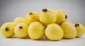 Guayaba
